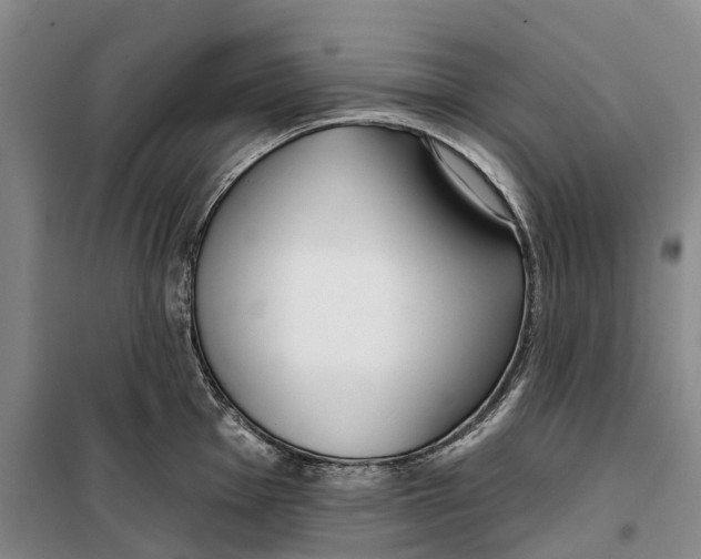 X0000099441001200805301447