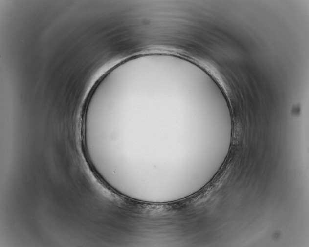 X0000099441003200805301447