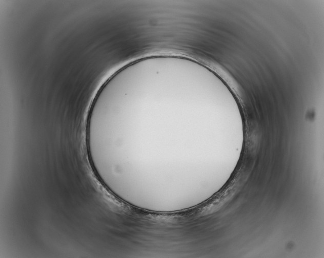 X0000099441004200805301447