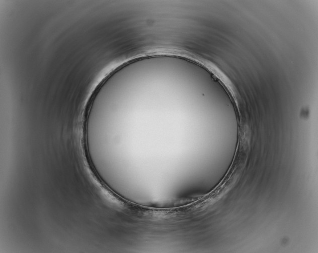 X0000099441005200805301447