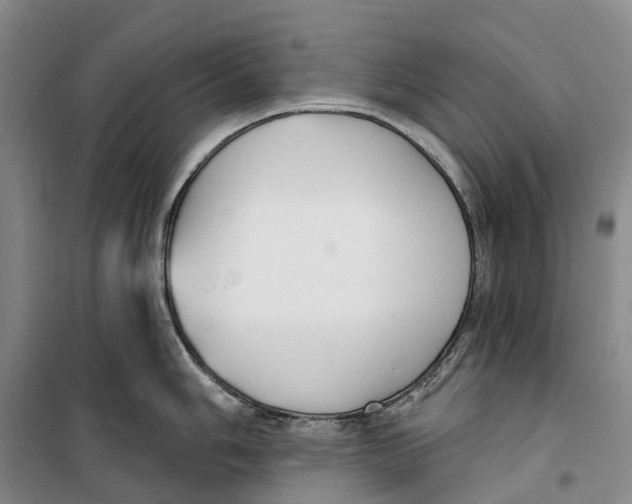 X0000099441006200805301447