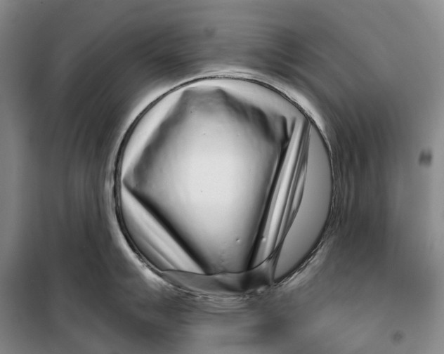X0000099441007200805301447