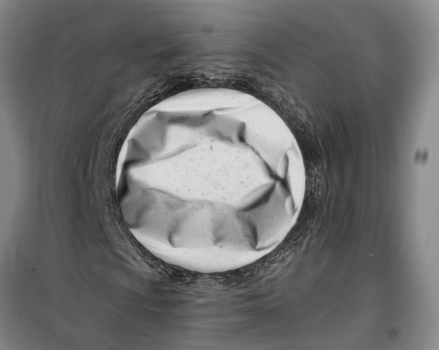 X0000099441009200805301446