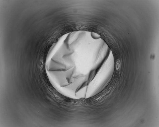 X0000099441011200805301446