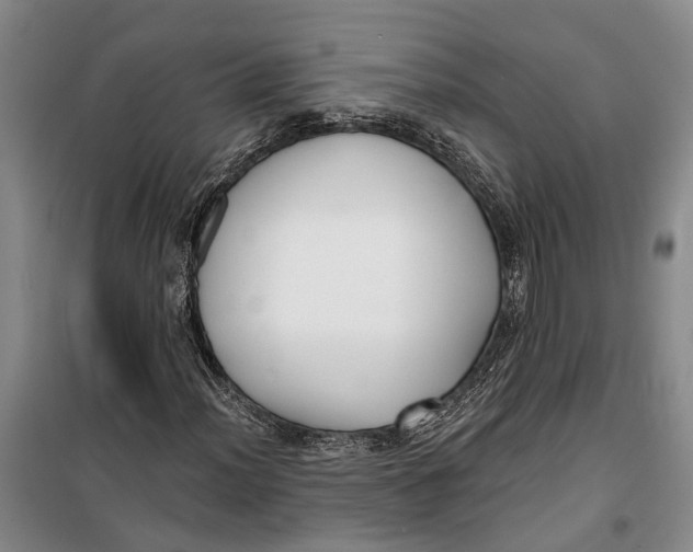 X0000099441012200805301446