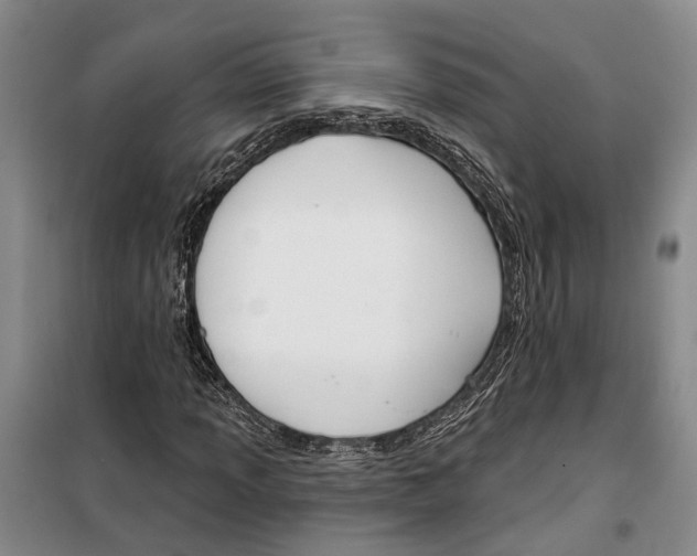 X0000099441013200805301446