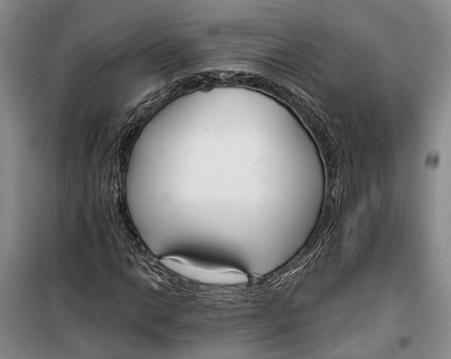 X0000099441014200805301446
