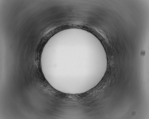 X0000099441015200805301446