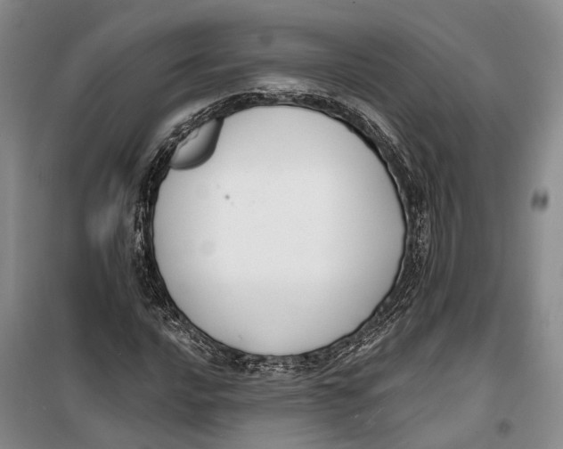 X0000099441016200805301446
