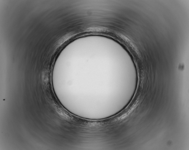 X0000099441017200805301446