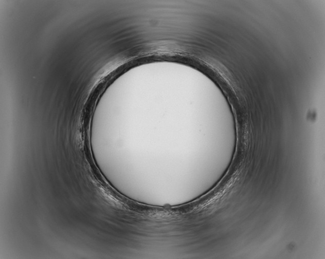 X0000099441018200805301446