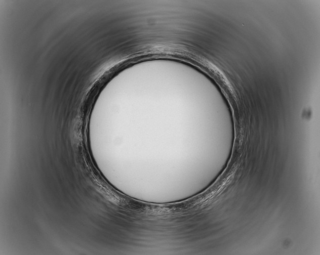 X0000099441019200805301446