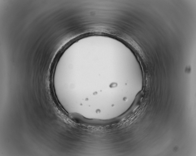 X0000099441020200805301446