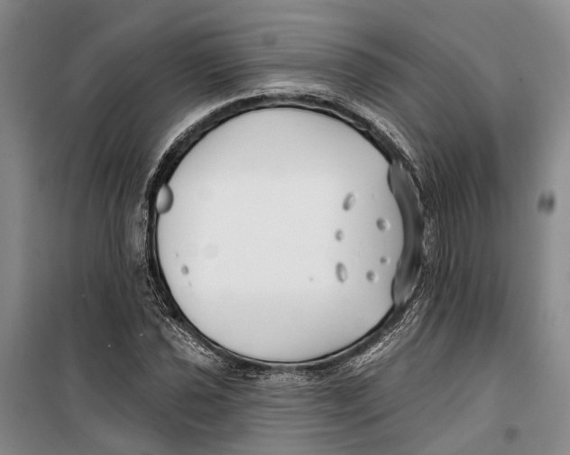X0000099441021200805301446