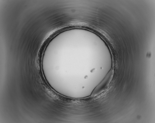 X0000099441022200805301446