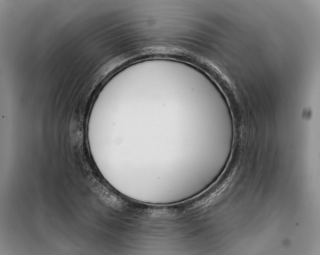 X0000099441025200805301446