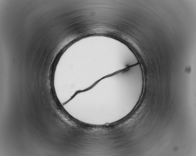 X0000099441026200805301446