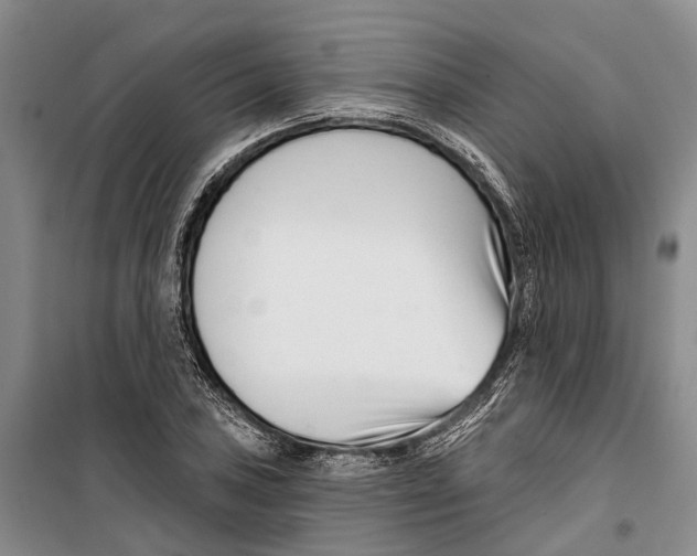 X0000099441027200805301446