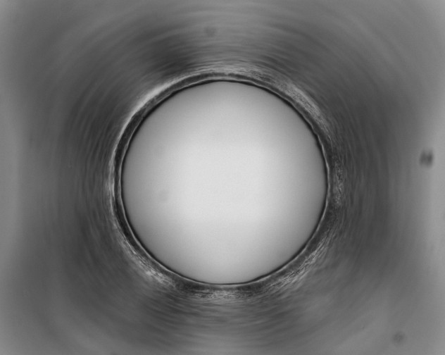 X0000099441028200805301446