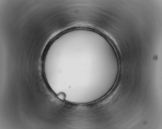 X0000099441029200805301446