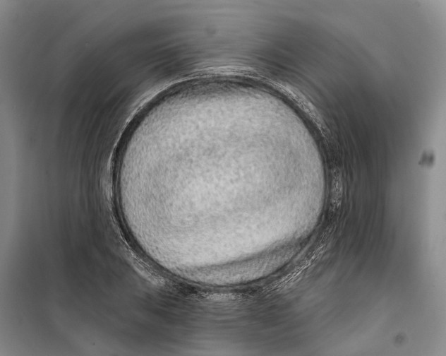 X0000099441031200805301446