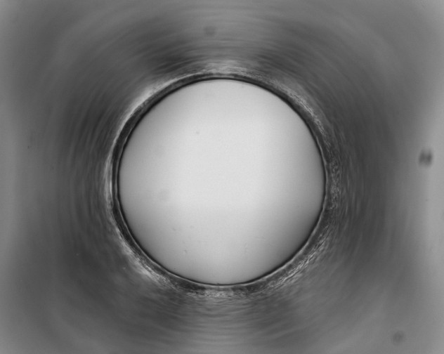 X0000099441032200805301446
