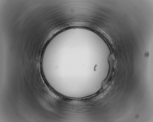 X0000099441033200805301446