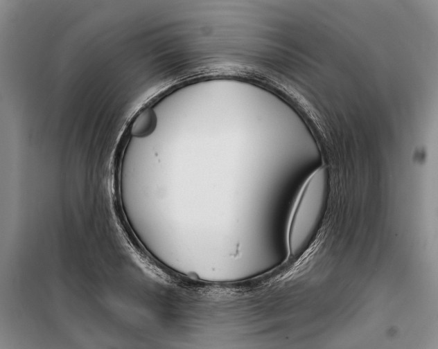 X0000099441034200805301446