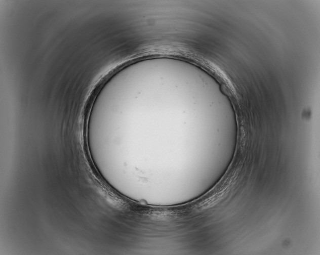 X0000099441035200805301446