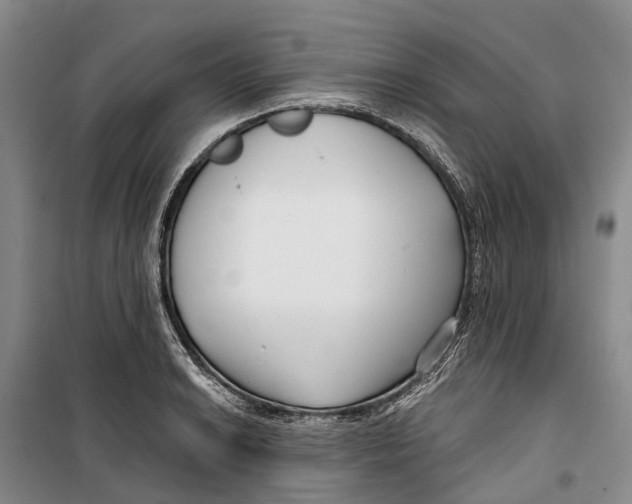 X0000099441038200805301446