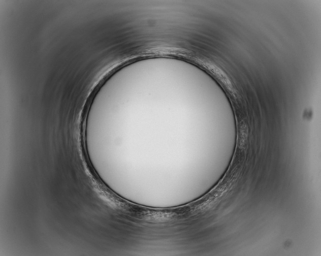 X0000099441039200805301446