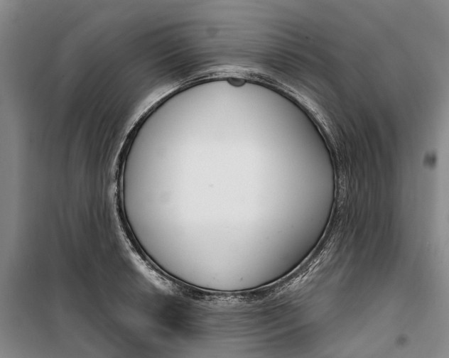 X0000099441042200805301446
