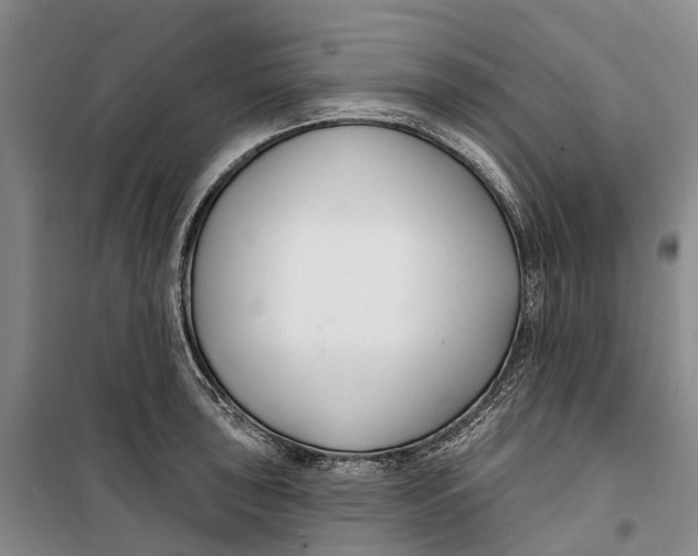 X0000099441043200805301446