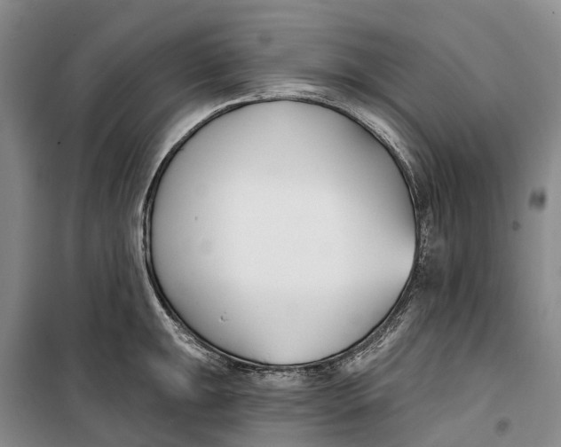 X0000099441047200805301446