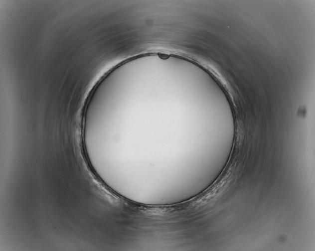 X0000099441048200805301446