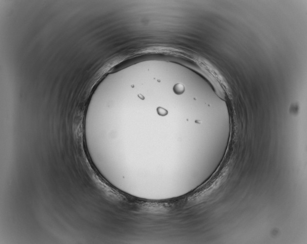 X0000099441049200805301446