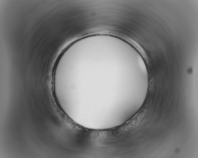 X0000099441051200805301446