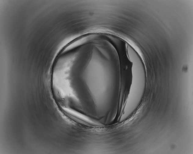 X0000099441053200805301447
