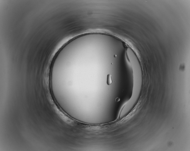 X0000099441054200805301447