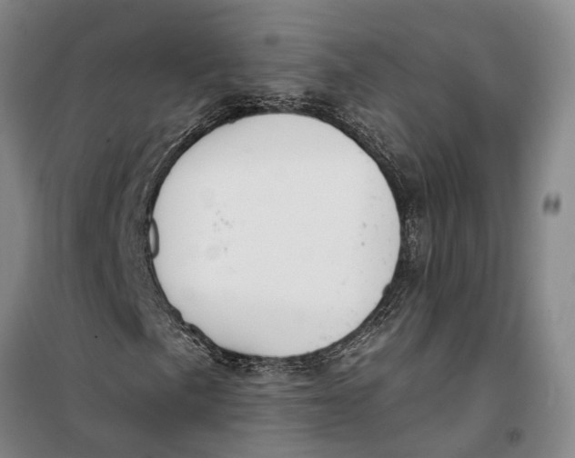 X0000099441057200805301446