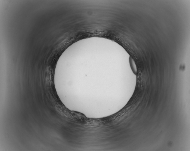 X0000099441058200805301446