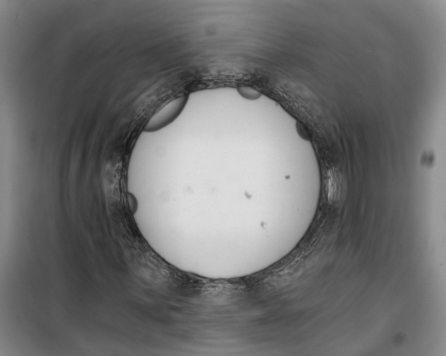 X0000099441059200805301446