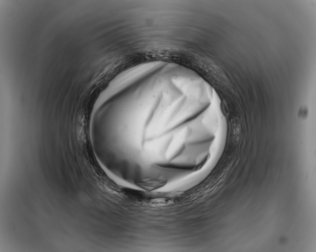 X0000099441060200805301446