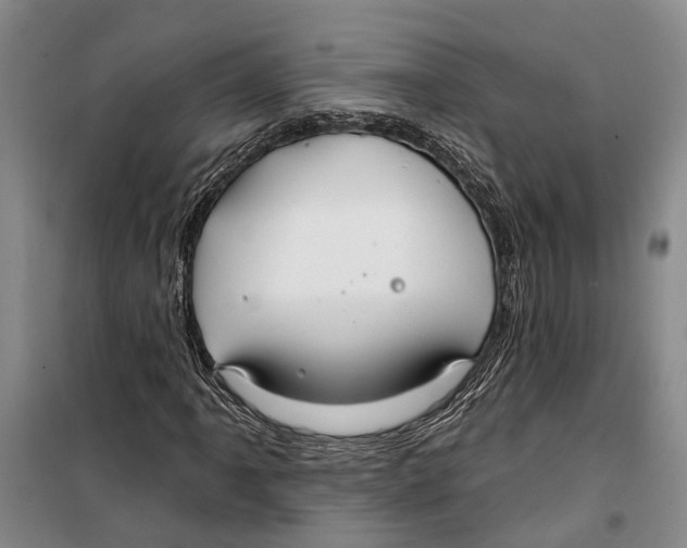X0000099441061200805301446