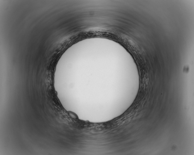 X0000099441062200805301446