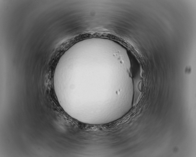 X0000099441063200805301446