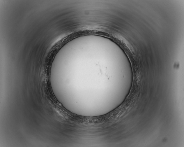 X0000099441064200805301446