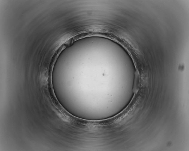 X0000099441065200805301446