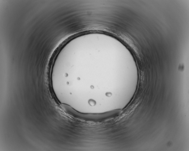 X0000099441068200805301446