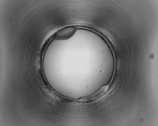 X0000099441069200805301446